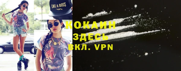 стафф Аркадак