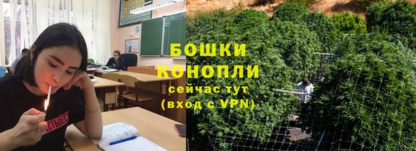 стафф Аркадак