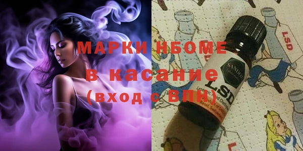 стафф Аркадак