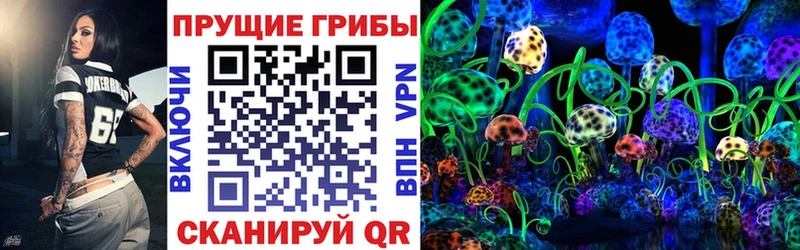 Галлюциногенные грибы Psilocybine cubensis Покров